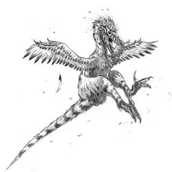 Linheraptor fight mode