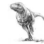 Running rex