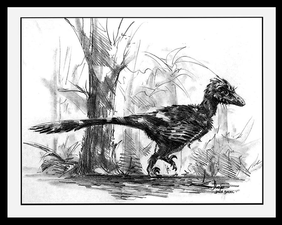 Balaur Roz Balaur bondoc by AlainBeneteau on DeviantArt