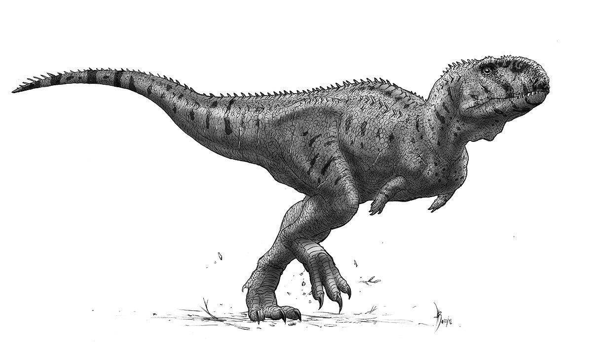 Arcovenator escotae