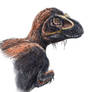 Tyrannosaurus rex