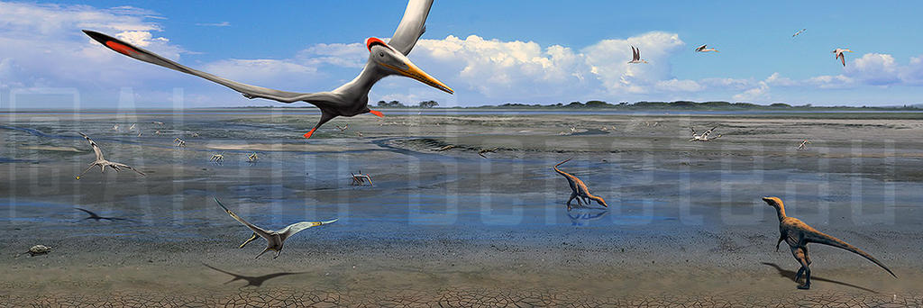 La plage aux pterosaures - Crayssac - France