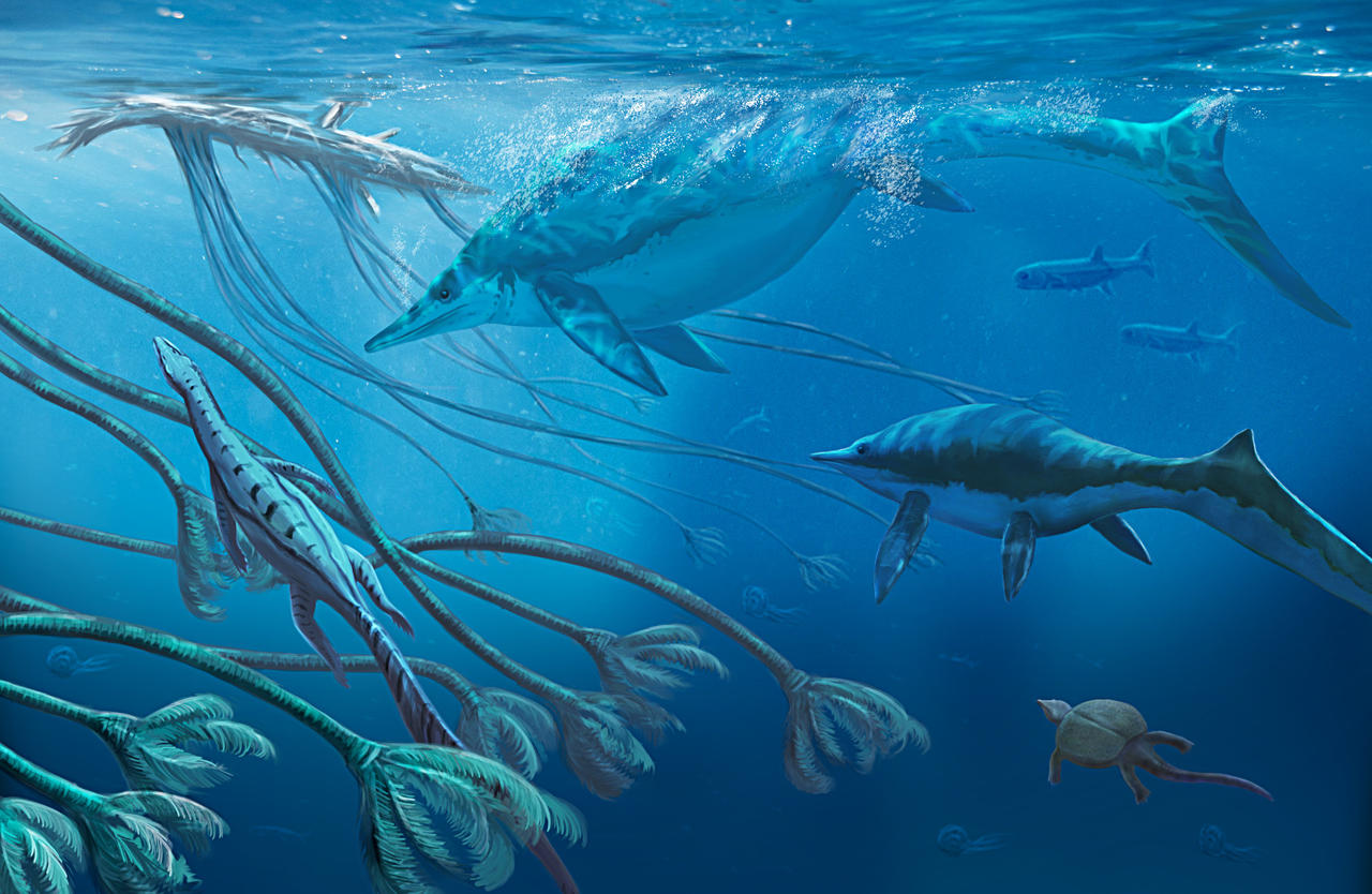 Guanling triassic marine fauna by AlainBeneteau on DeviantArt
