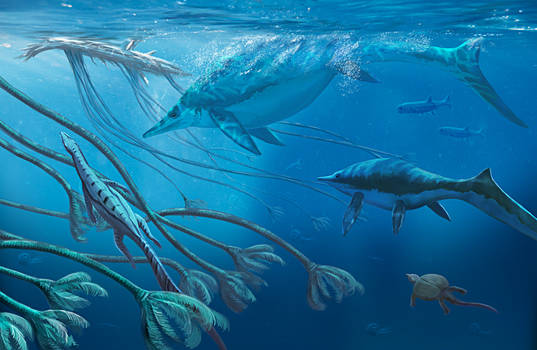 Guanling triassic marine fauna