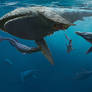 Jurassic marine fauna of Oxford Clay formation