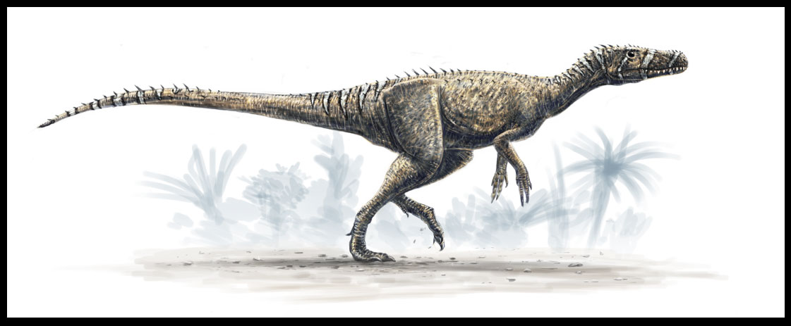 Herrerasaurus by dustdevil on DeviantArt