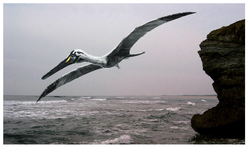 Pterodactylus kochi by AlainBeneteau on DeviantArt