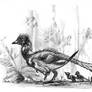 Archaeopteryx and chicks