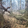 Variraptor and Rhabdodon