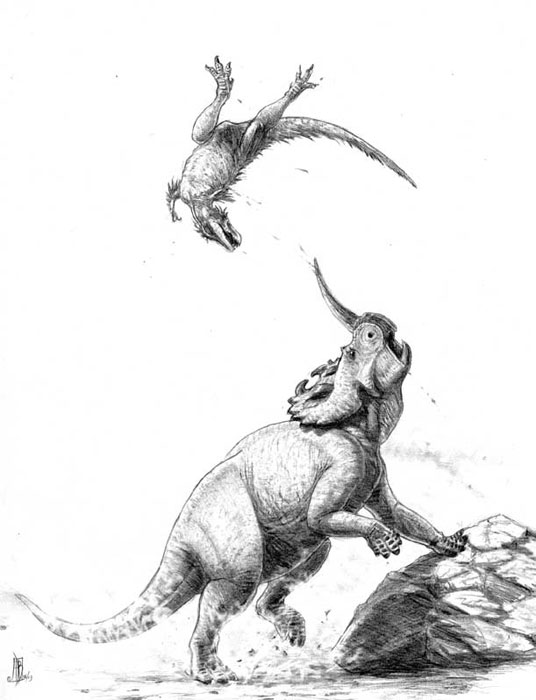 Centrosaurus vs Albertosaurus