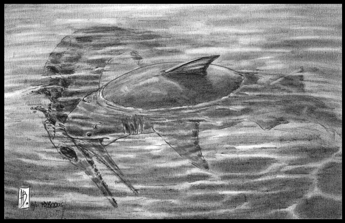 Hybodus eating dead Ichtyosaur