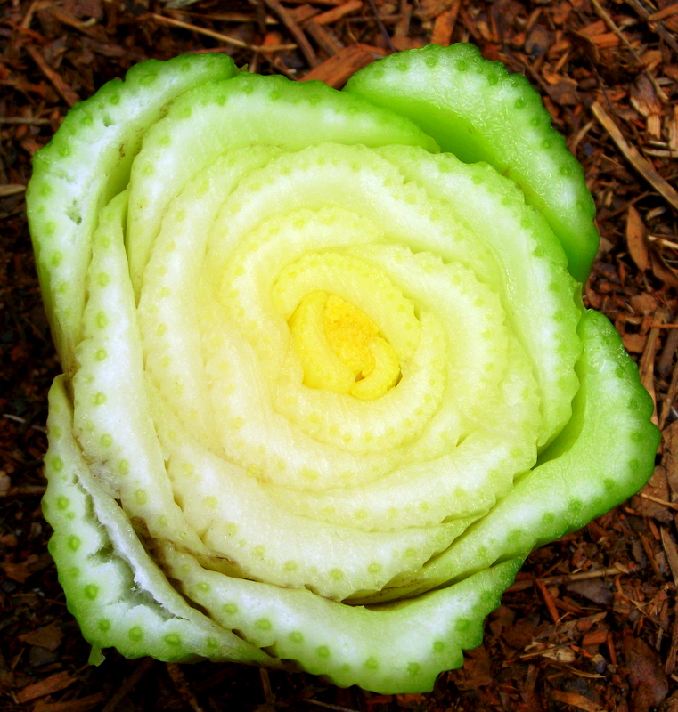 Flower of Celery