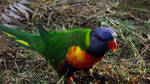 Beauty by BGai
