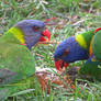 2 Rainbows