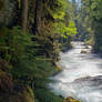 McKenzie River 1