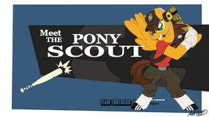 Meettheponyscout