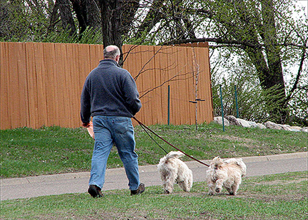 Walking The Twins