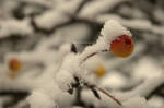 covered by blu-ish