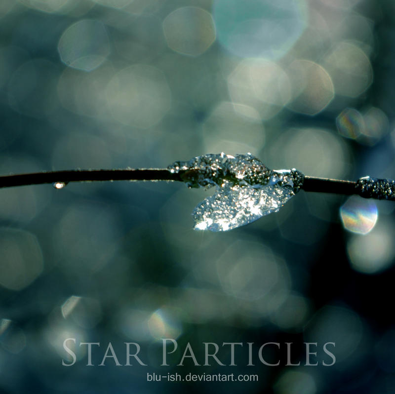 Star Particles