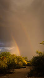 Kalahari Rainbows