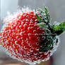 Bubbles