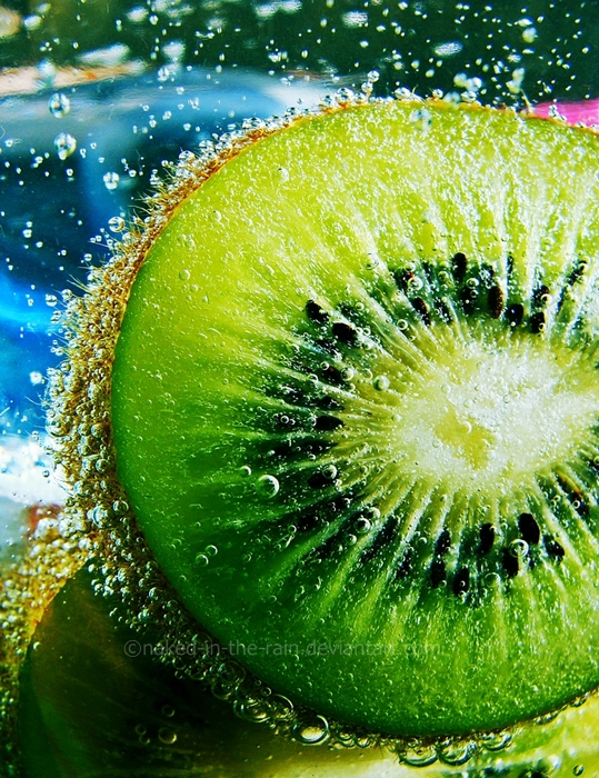 Keep Calm and Have a Kiwi