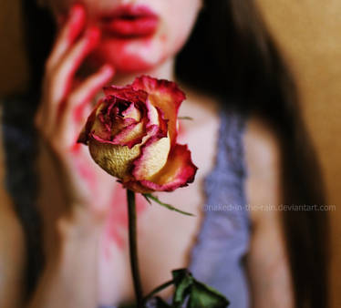 Blood on her roses