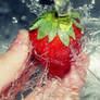 Yummy for your tummy