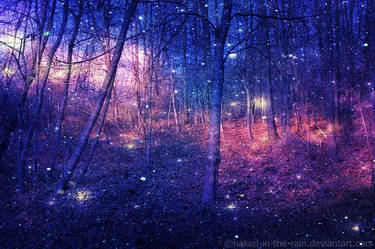 Enchanted Forest