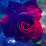 Rose galaxy