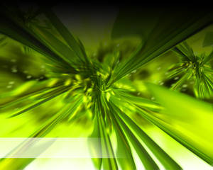 GreenChaos