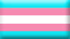 Transgender Pride Flag Stamp by SavvyRed