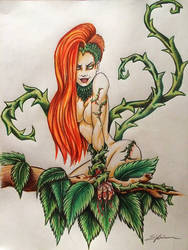 Poison Ivy