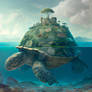 Turtle (2)