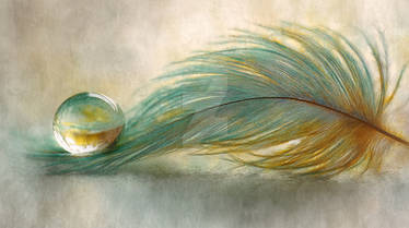 Feather Objectified Purity in Repose by InfiniteWallpaper on DeviantArt