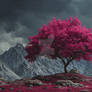 The Crimson Sentinel of the Ash Mountains