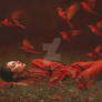 Cardinal Dream