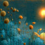 Where Silence Begins to Bloom