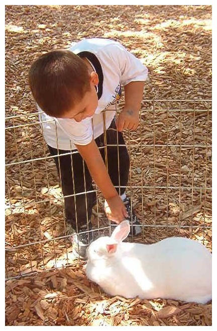 Silly rabbit... by samitallnative on DeviantArt
