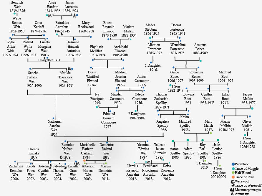 Wizard Family Tree Wizard Family Tree Wer by yammyqueen on DeviantArt