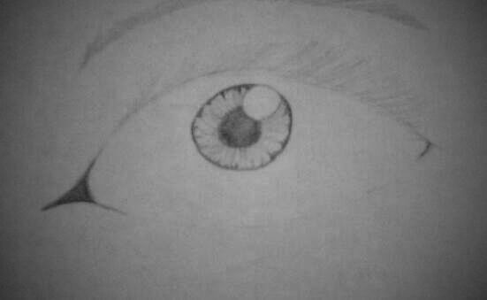 Human Eye