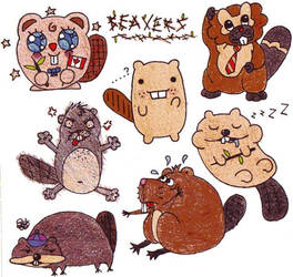 I Love Beavers