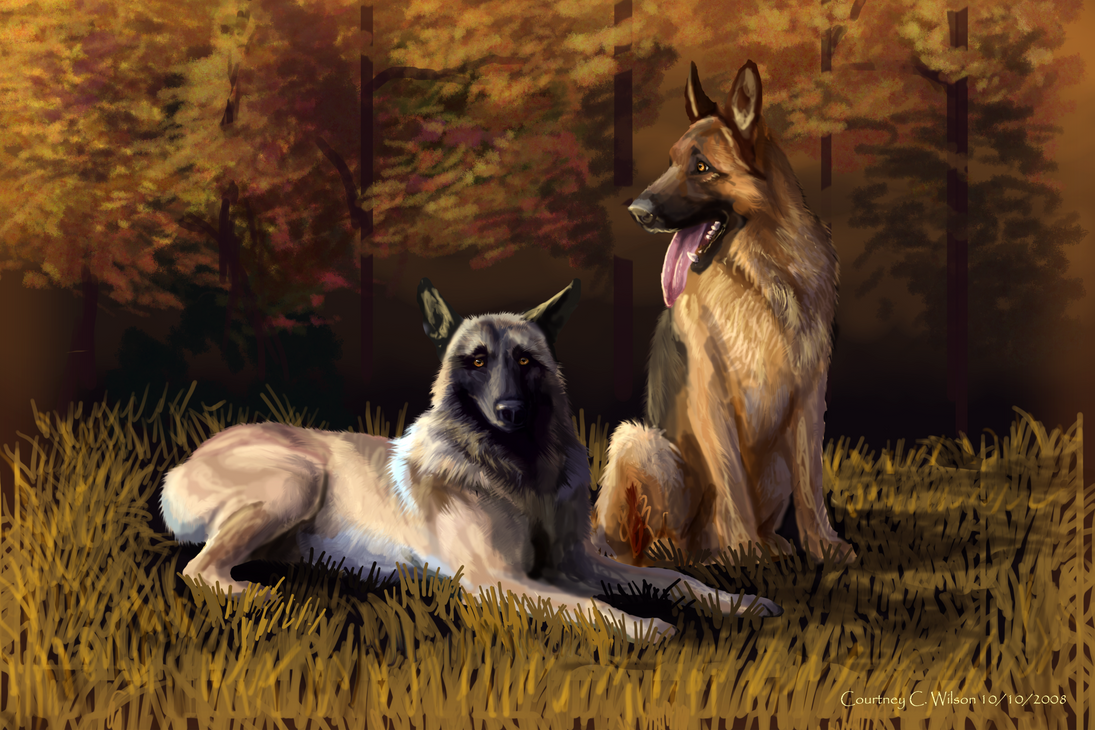 K-9 Dogs by WindSeeker