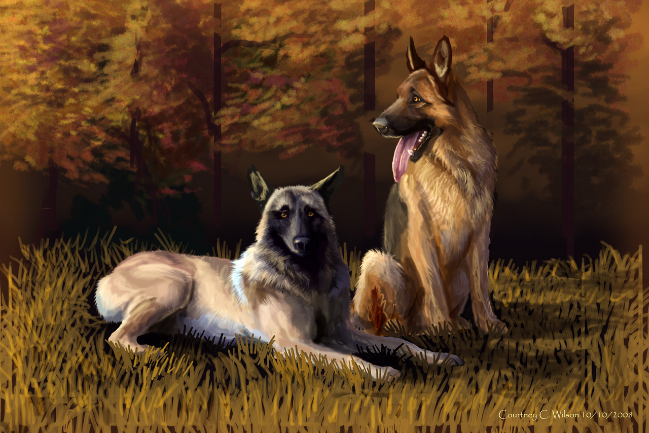 K-9 Dogs by WindSeeker