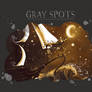 GRAY SPOTS Cover