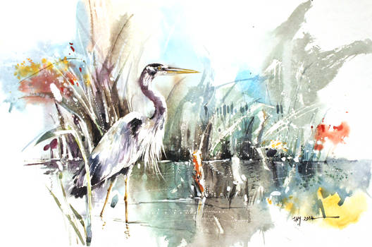 Heron - Watercolor Painting