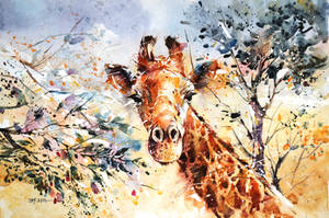 Wildlife Watercolor - Giraffe