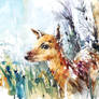 Wildlife Watercolor - Baby Deer