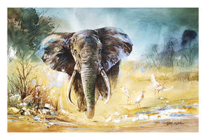 Watercolor Painting - Elephant