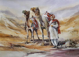 Camel Guide